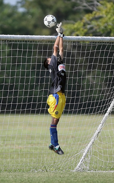 渐赢得了一 渐赢得了一