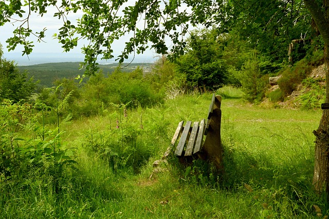 每一次扣球 每一次扣球