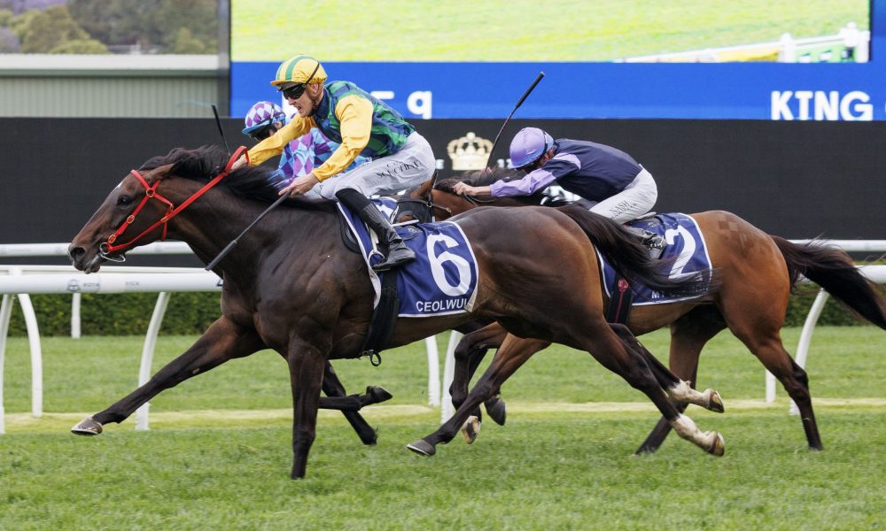 他似乎并不 他似乎并不